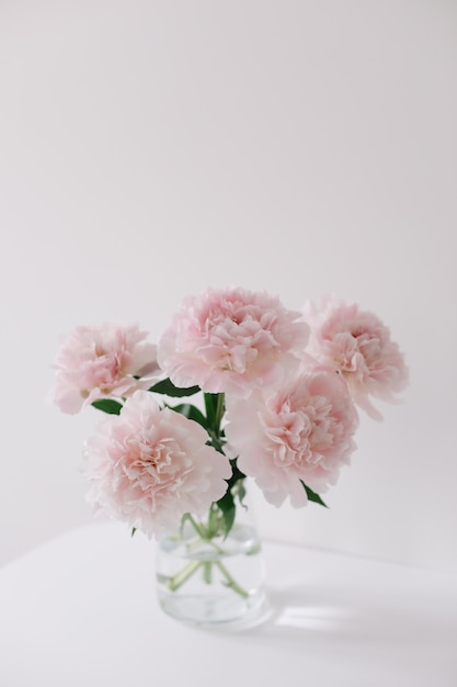 Lindas peônias rosa em um vaso de vidro com fundo branco