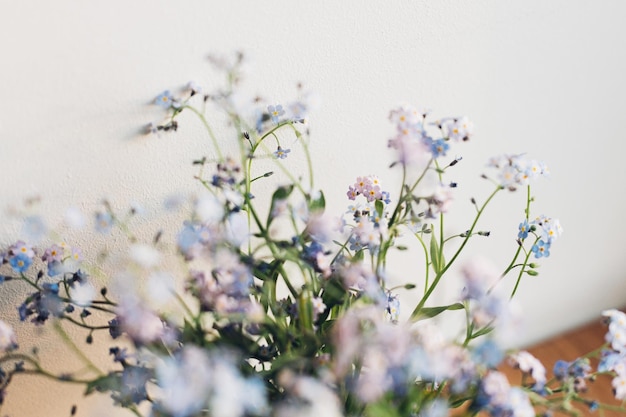 Lindas pequenas flores azuis na luz do sol quente contra a parede branca delicadas pétalas de myosotis não me esqueçam flores da primavera momento noturno atmosférico vida simples no campo