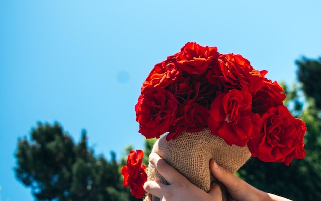 Lindas rosas embrulhadas com tela na mão