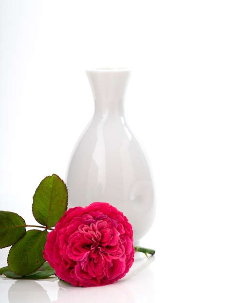 Lindas rosas vermelhas em vaso branco em branco