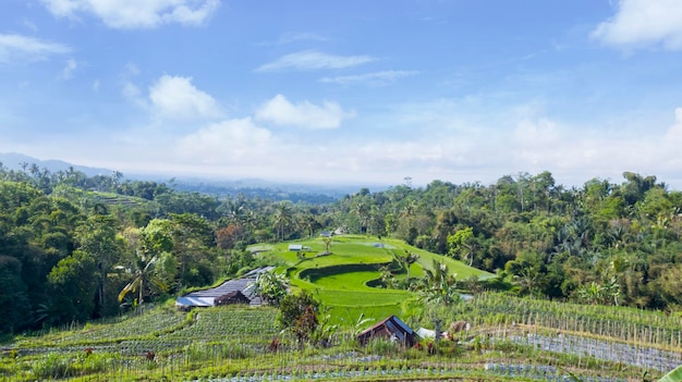 Lindas terras tropicais com cabanas e árvores sob o céu azul em Bali Indonésia