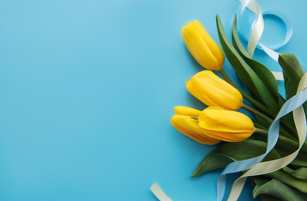 Lindas tulipas amarelas em um fundo azul