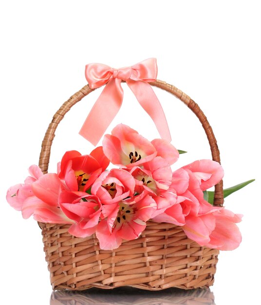 Lindas tulipas cor de rosa em uma cesta isolada no branco