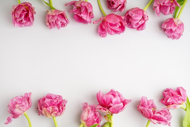 Foto lindas tulipas de peônia rosa em um espaço de fundo cinza para o texto dia das mães ou dia dos namorados