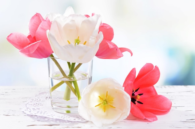 Lindas tulipas em balde em vaso na mesa na luz de fundo