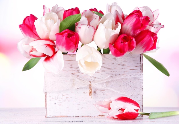 Lindas tulipas em caixa de madeira, sobre fundo claro