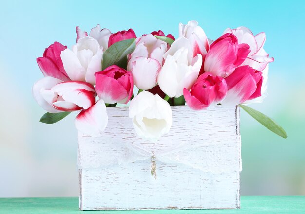 Lindas tulipas em caixa de madeira, sobre fundo claro
