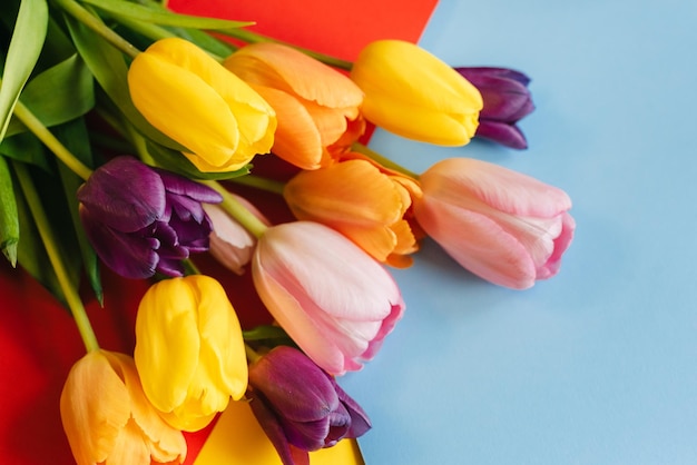 Lindas tulipas em um fundo multicolorido a vista de cima