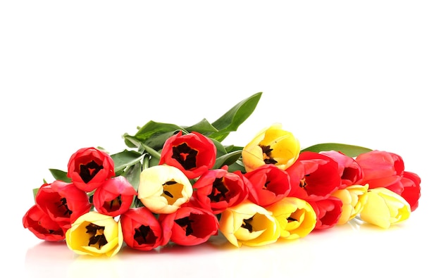 Lindas tulipas isoladas em branco