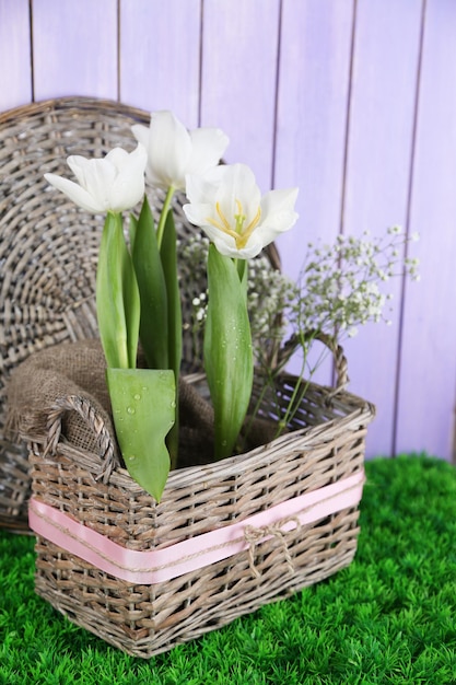 Lindas tulipas na cesta de vime, na grama verde na cor de fundo de madeira