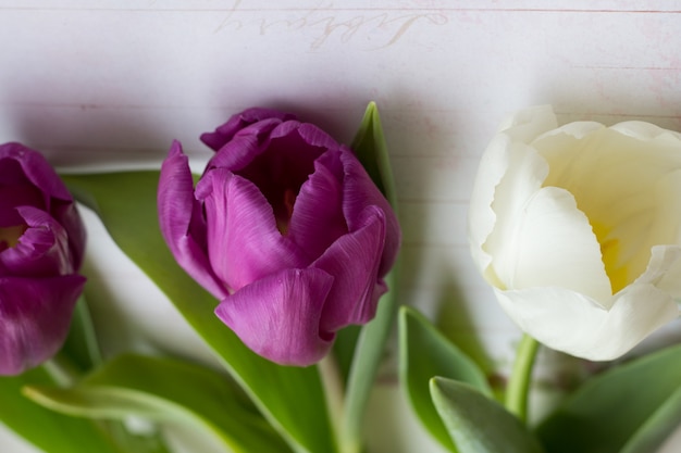 lindas tulipas na mesa de madeira, closeup