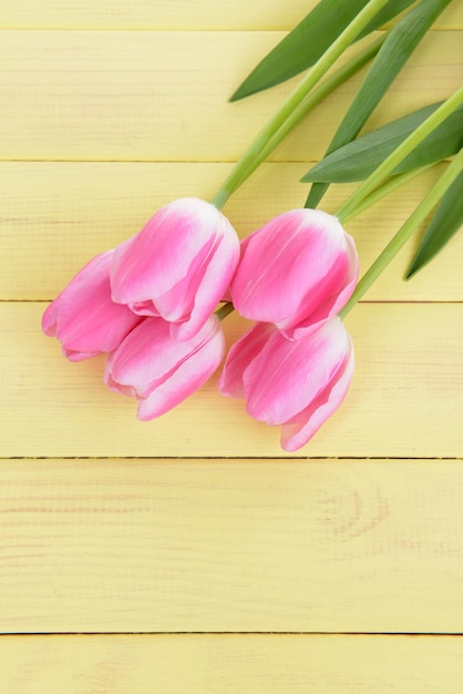 Lindas tulipas no balde na mesa close-up