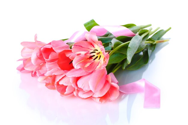 Lindas tulipas rosa isoladas no branco