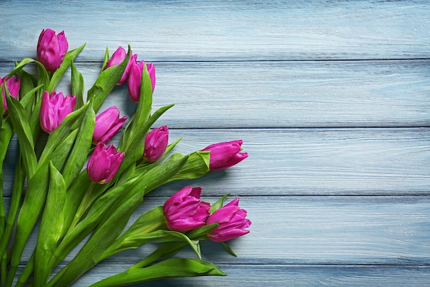Lindas tulipas roxas em fundo de madeira