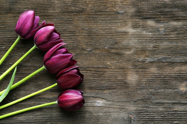 Lindas tulipas violetas em fundo de madeira