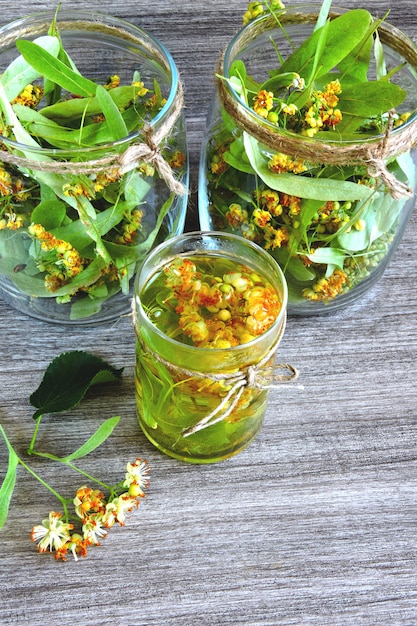 Lindenblüten in einem Glas. Ernte von Linden-Tee. Linden Tee. Heilender Kräutertee.