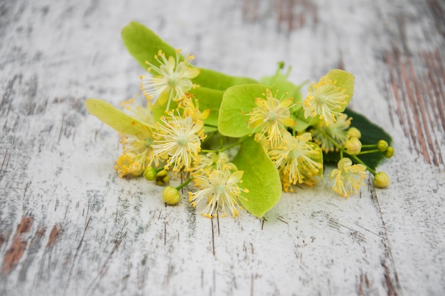 Lindenblumen auf dem Tisch