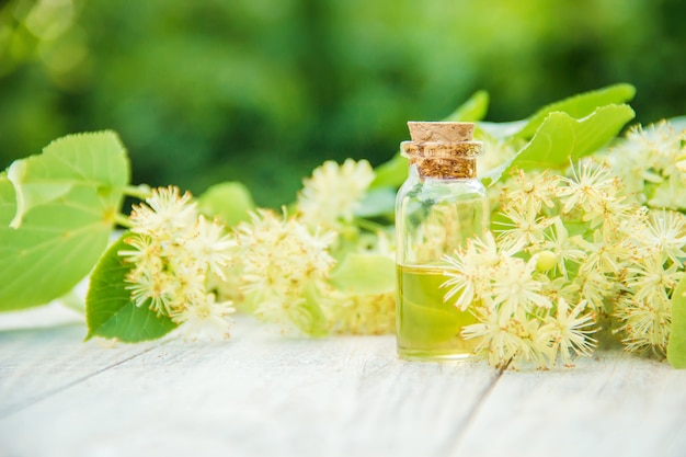 Lindenextrakt und blumen in einer kleinen flasche. selektiver fokus