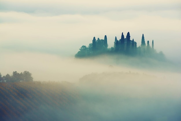 Lindo amanhecer nebuloso na Toscana, Itália, com vinhedos e nuvens. Fundo natural idílico sazonal de outono