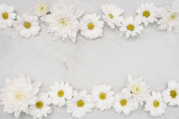 Foto lindo arreglo de flores de margarita blanca