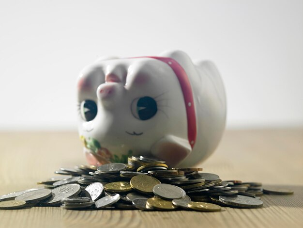 El lindo bebé cerdo de la caja de ahorros es un artículo financiero al revés.