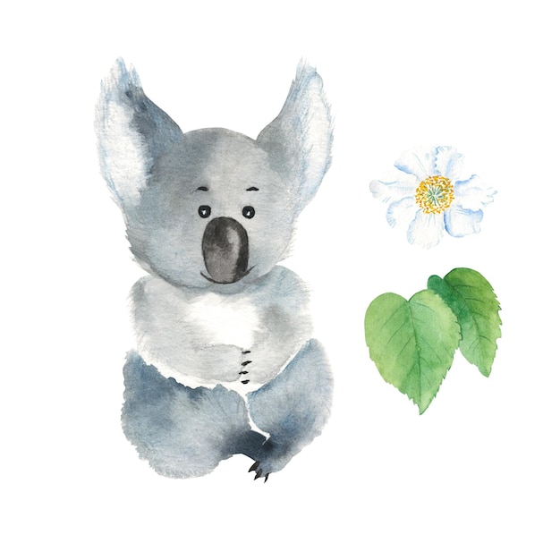 Lindo bebé koala y flor de kiwi aislado sobre fondo blanco Ilustración de acuarela dibujada a mano Perfecto para tarjetas de niños baby shower y carteles estampados de ropa y diseño de papel tapiz