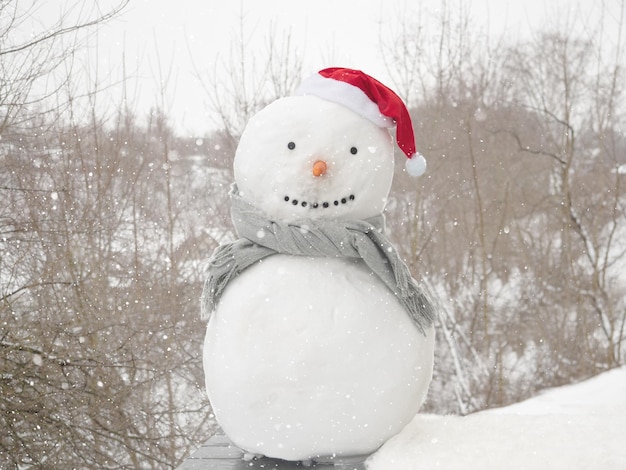 Lindo boneco de neve com um cachecol e um chapéu