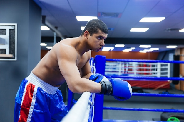 Lindo boxeador masculino em pé na academia