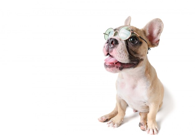 Lindo bulldog francés llevar gafas de sol y una sonrisa