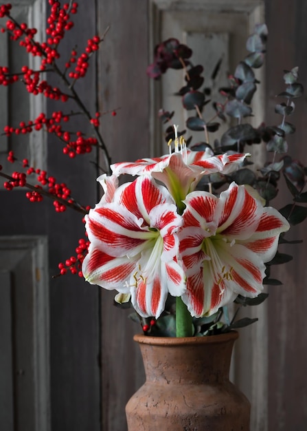 Lindo buquê com flores de eucalipto branco vermelho Amaryllis e ramos de bagas de azevinho vermelho