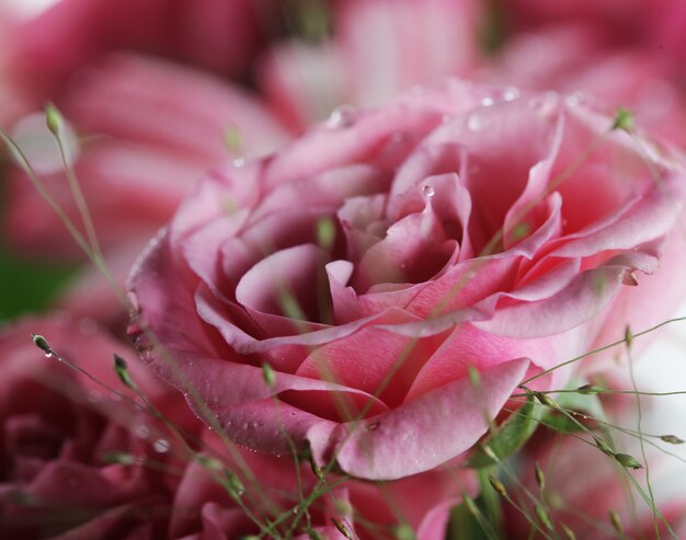 Lindo buquê de flores cor de rosa e brancas