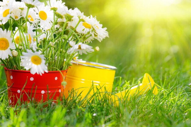 Lindo buquê de flores da primavera em balde vermelho