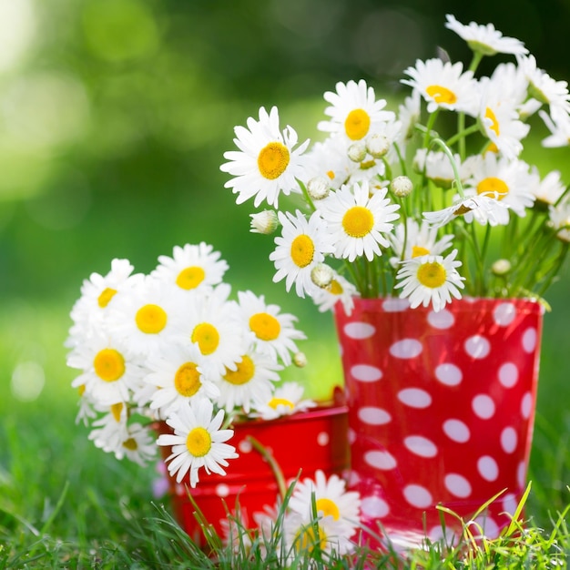 Lindo buquê de flores da primavera em botas de borracha vermelhas