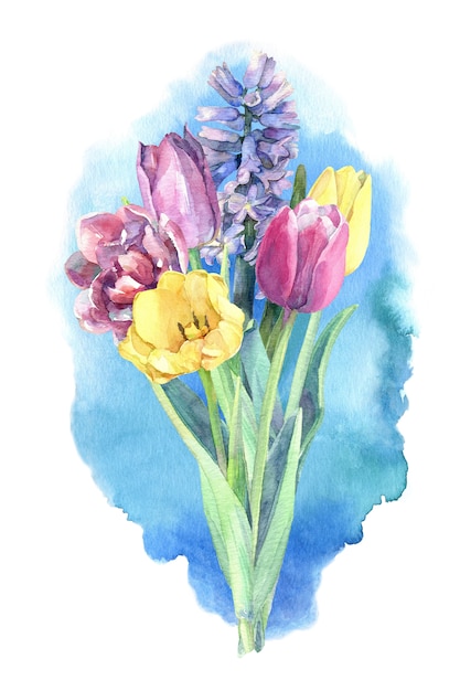 Lindo buquê de flores da primavera - tulipas e jacintos. aquarela mão ilustrações desenhadas.