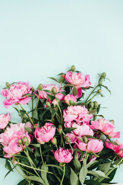 Lindo buquê de flores de peônias rosa em azul claro