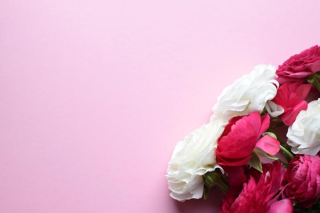 Lindo buquê de flores de ranúnculo em rosa brilhante e branco em um fundo rosa