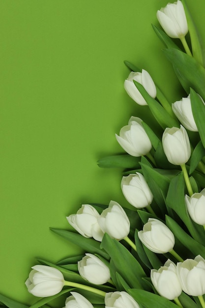 Lindo buquê de flores de tulipa branca com cartão no espaço de fundo verde para texto