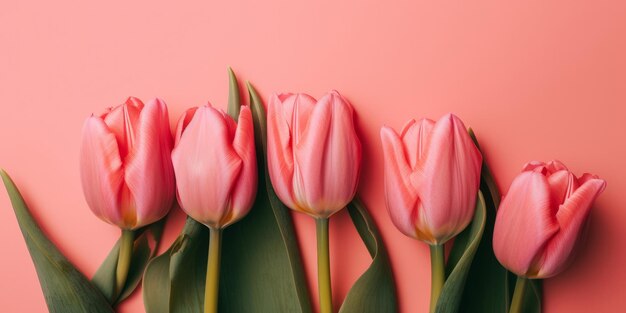 Lindo buquê de flores de tulipa de primavera em um fundo rosa Generative ai