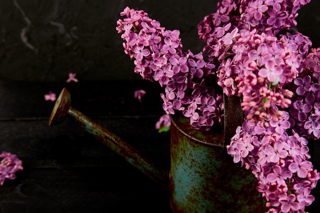 Lindo buquê de flores lilás em regador de metal, pote