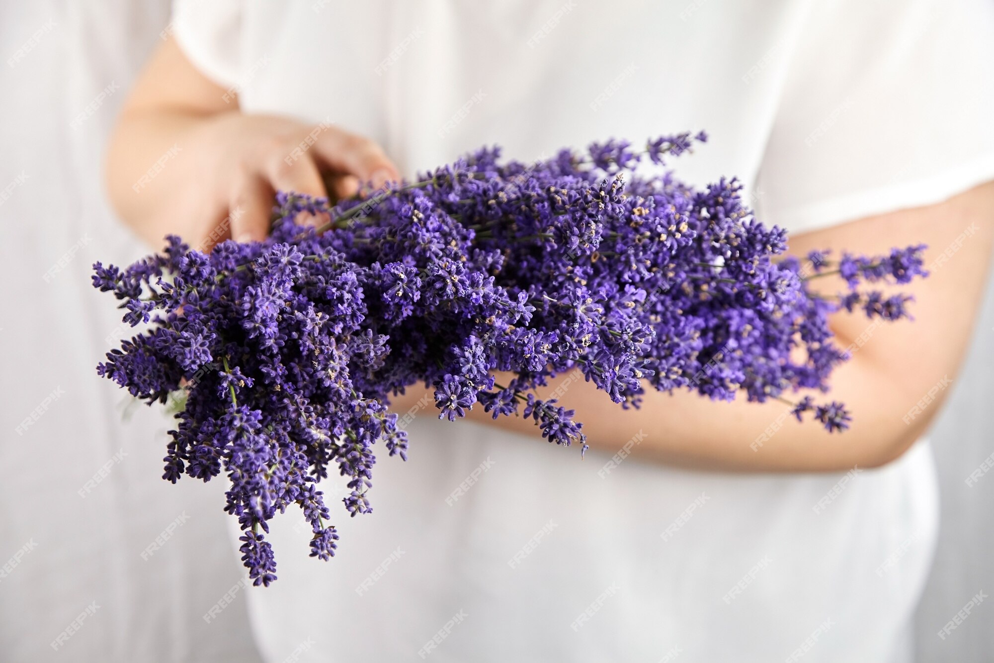 Lindo buquê de flores naturais de lavanda em mãos femininas | Foto Premium