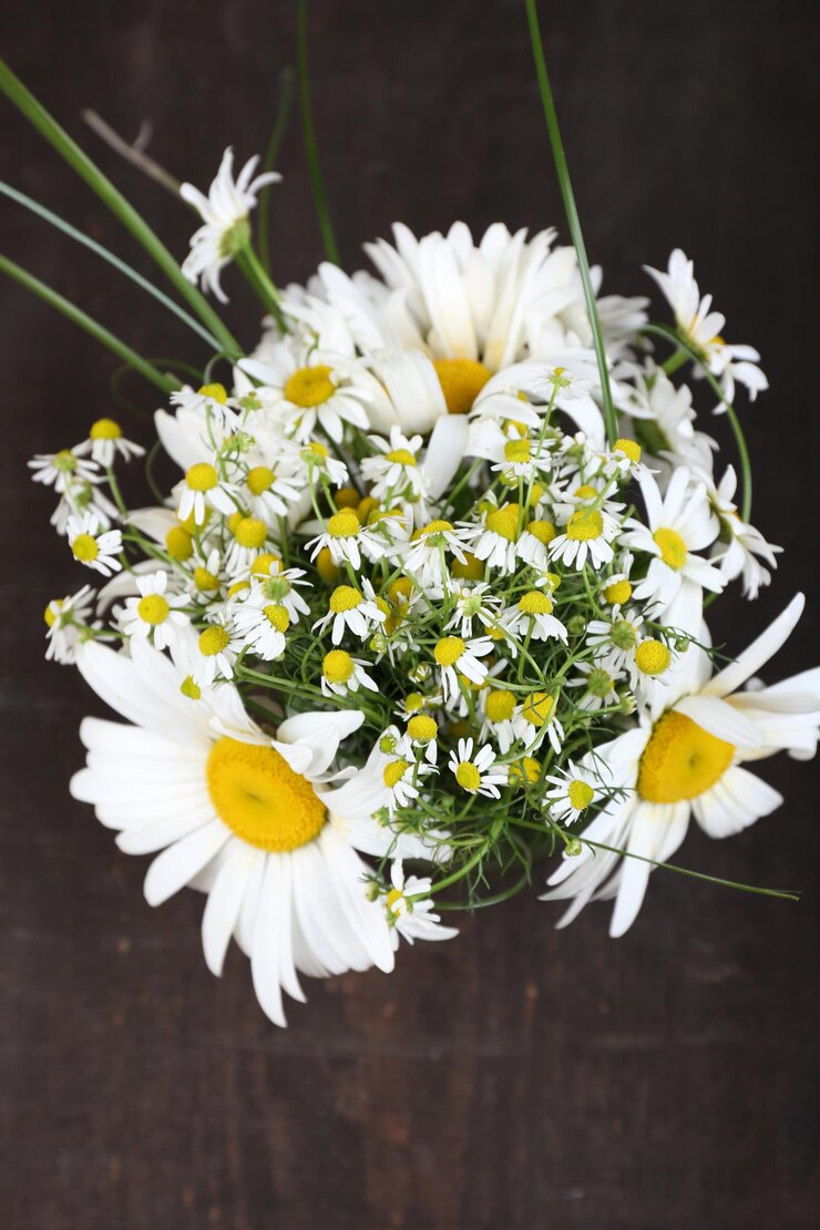 Foto lindo buquê de margaridas em fundo de madeira