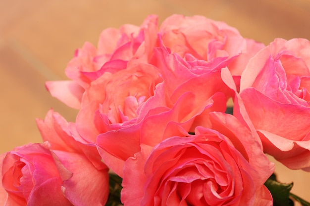 Lindo buquê de rosas cor de rosa, closeup