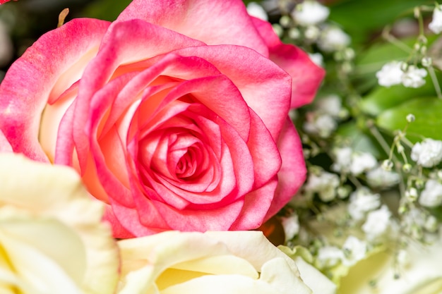 Lindo buquê de rosas cor de rosa e brancas