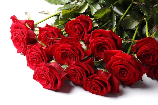 Lindo buquê de rosas vermelhas isolado no fundo branco