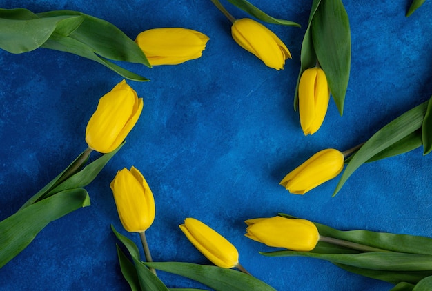 Lindo buquê de tulipas amarelas em um fundo azul de concreto Espaço de cópia de vista superior