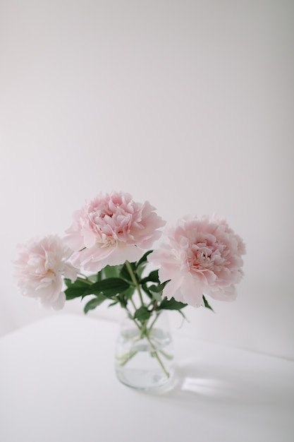 Lindo buquê rosa claro de peônias rosa em um vaso de vidro na mesa branca e no fundo