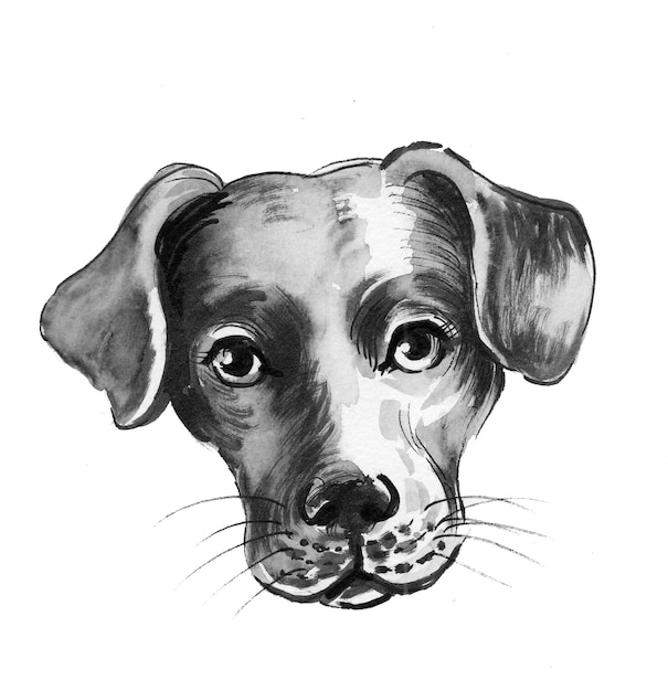 Lindo cachorrinho. Desenho de tinta preto e branco