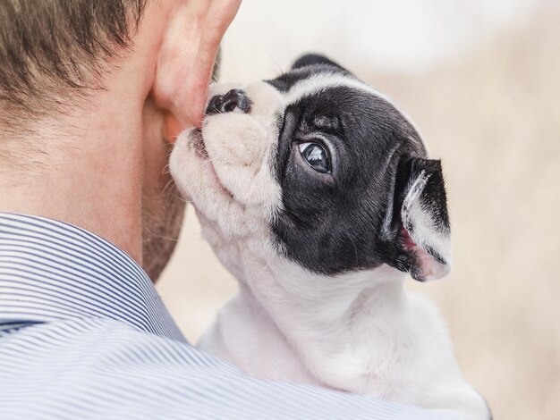 Lindo cachorro acostado en el hombro de un hombre Día claro y soleado Primer plano en el interior Foto de estudio Luz del día Concepto de cuidado educación obediencia entrenamiento y crianza de mascotas