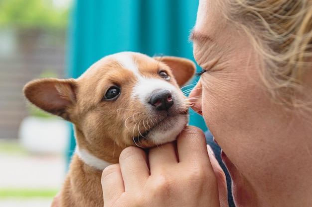 Lindo cachorro basenji en manos de mujer joven