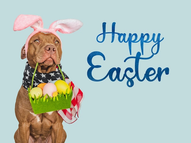 Un lindo cachorro y una canasta de huevos de Pascua.